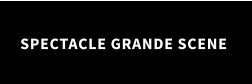 SPECTACLE GRANDE SCENE